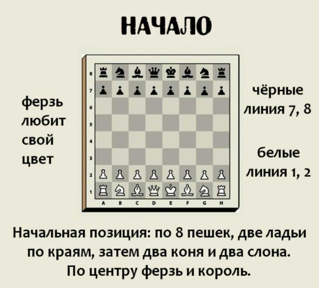 Правила шахмат | правила игры в шахматы для начинающих и детей
