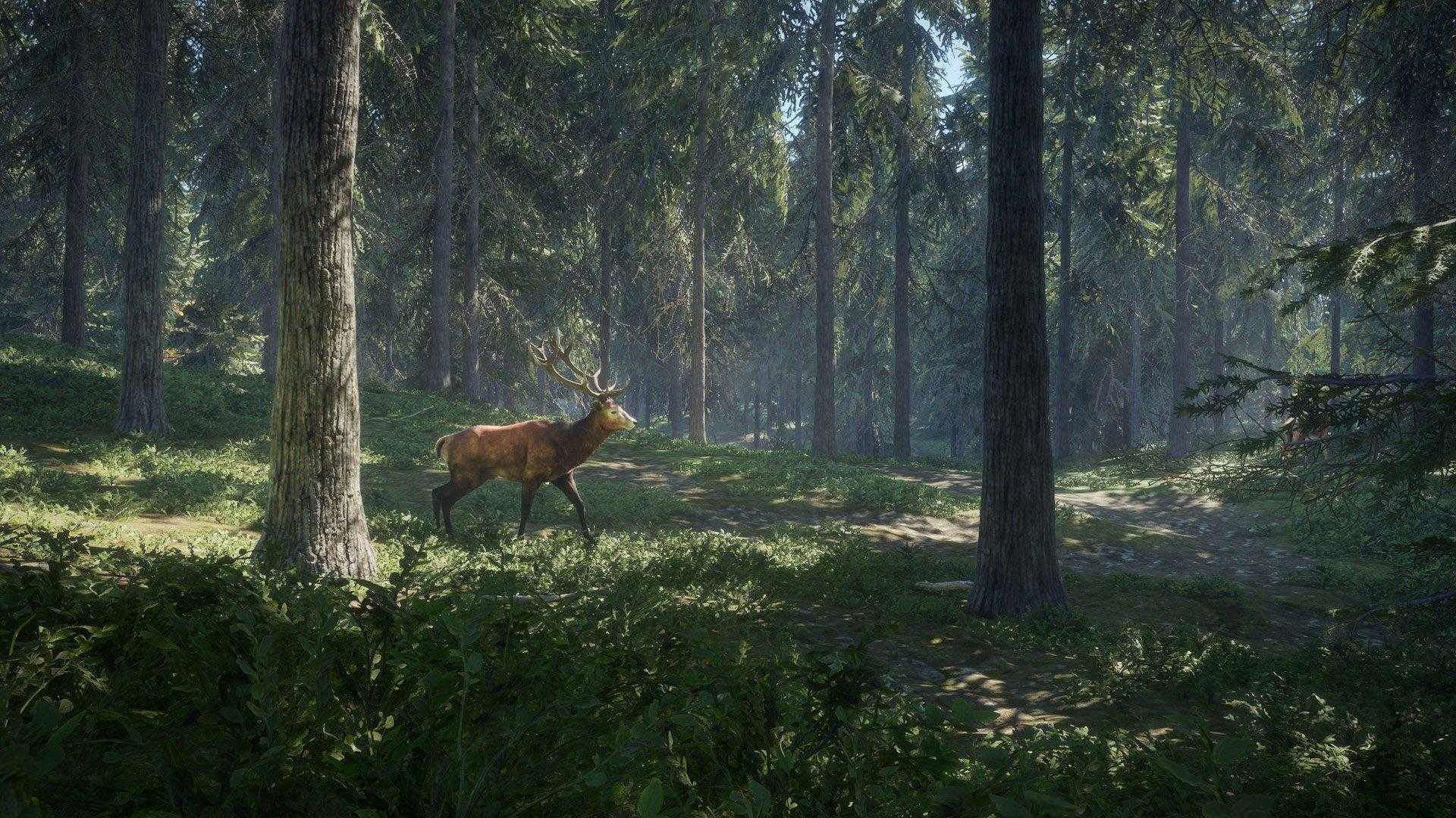 Thehunter call of the wild скачать торрент бесплатно