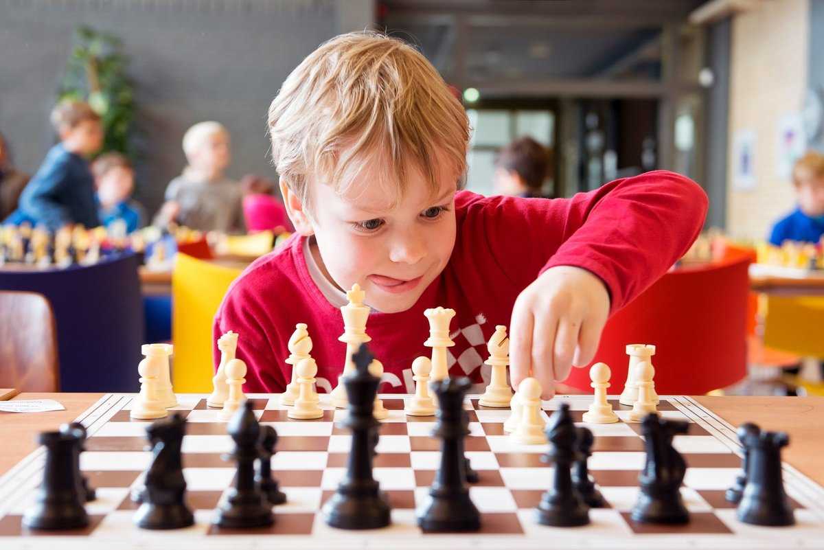 Шахматы для дошкольников: какая польза и как научить