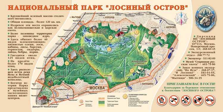 Школа шахмат д4 д5 сицилианская защита