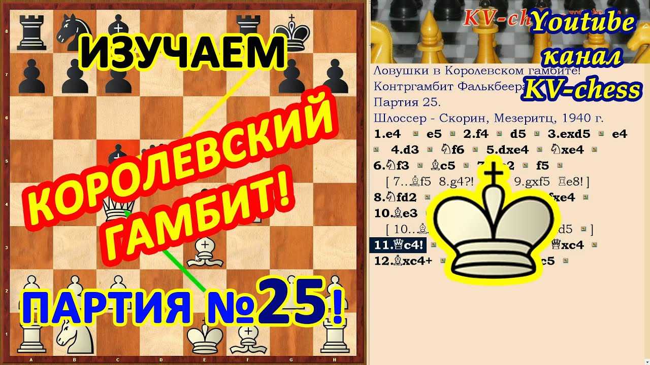 Королевский гамбит за белых и черных в шахматах: как играть правильно