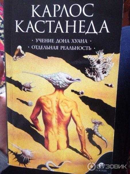 Согласно учению карлоса кастанеды. Учение Дона Хуана Карлос Кастанеда книга. Карлос Кастанеда путь воина духа. Кастанеда учение Дона Хуана отдельная реальность. Кастанеда учение Дона Хуана 2003.