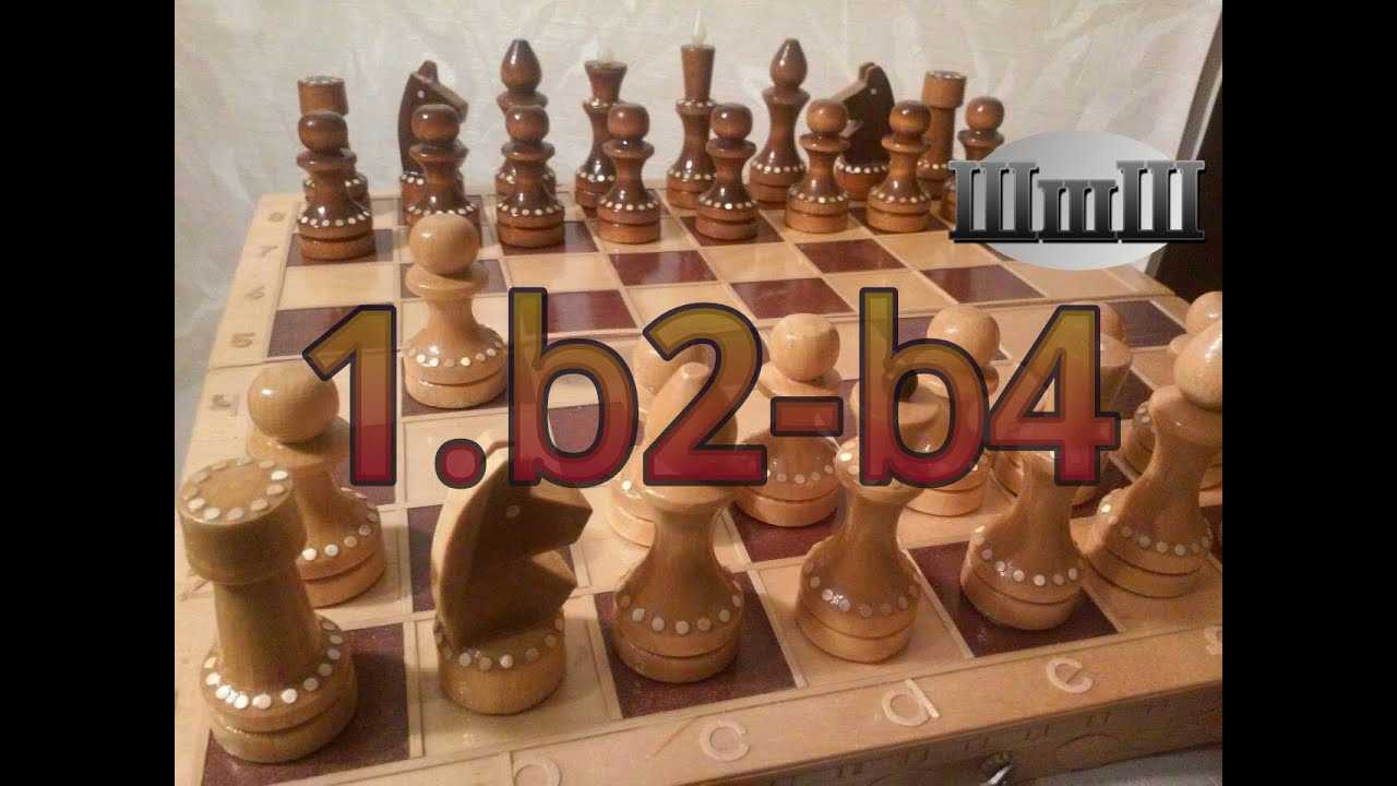 Дебют орангутанга
