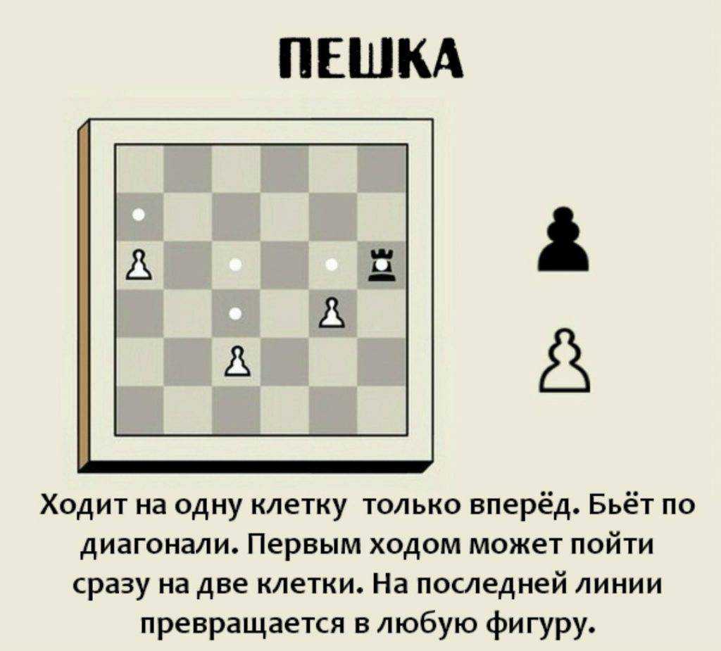 Дебют- начало шахматной партии