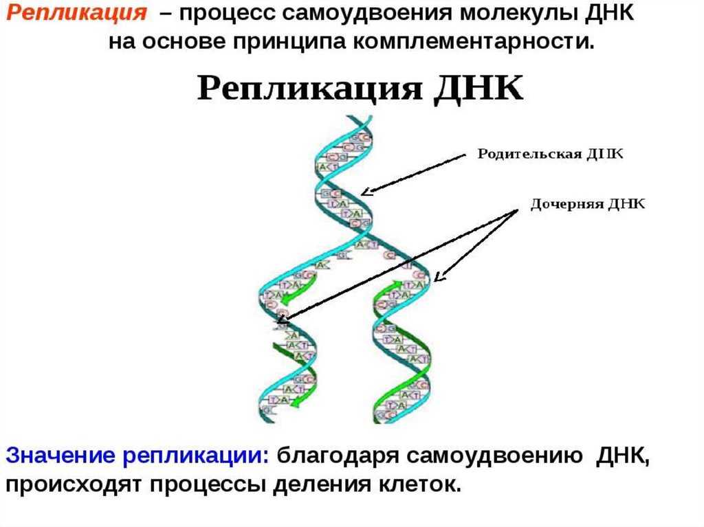 Настольная игра клуэдо