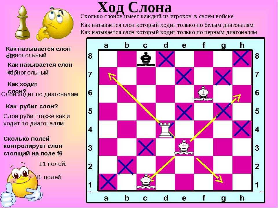 Шахматные фигуры — название, ценность и примеры