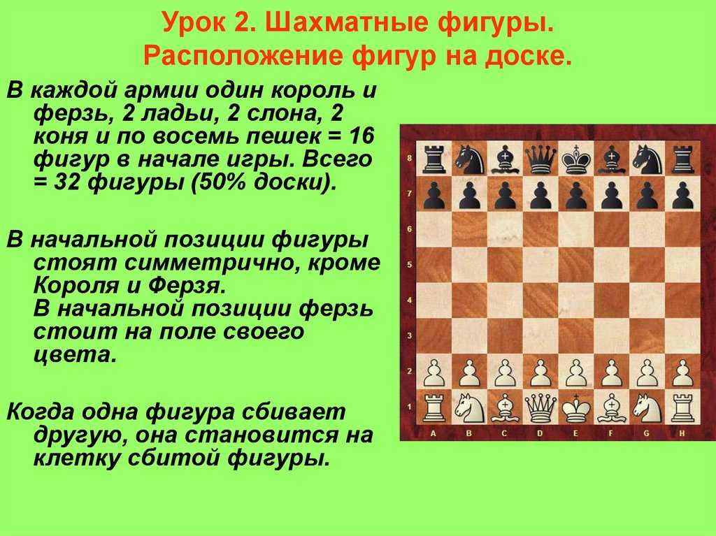 Шахматы: правила. фигуры в шахматах. шахматные правила