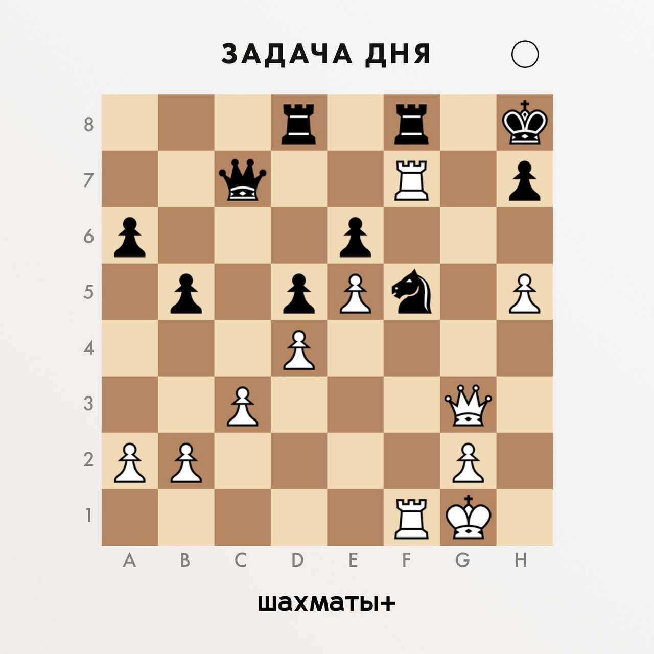 Виды и названия шахматных фигур, правила их расположения на доске