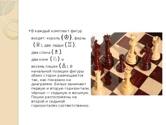 Глава 6 слон против слона