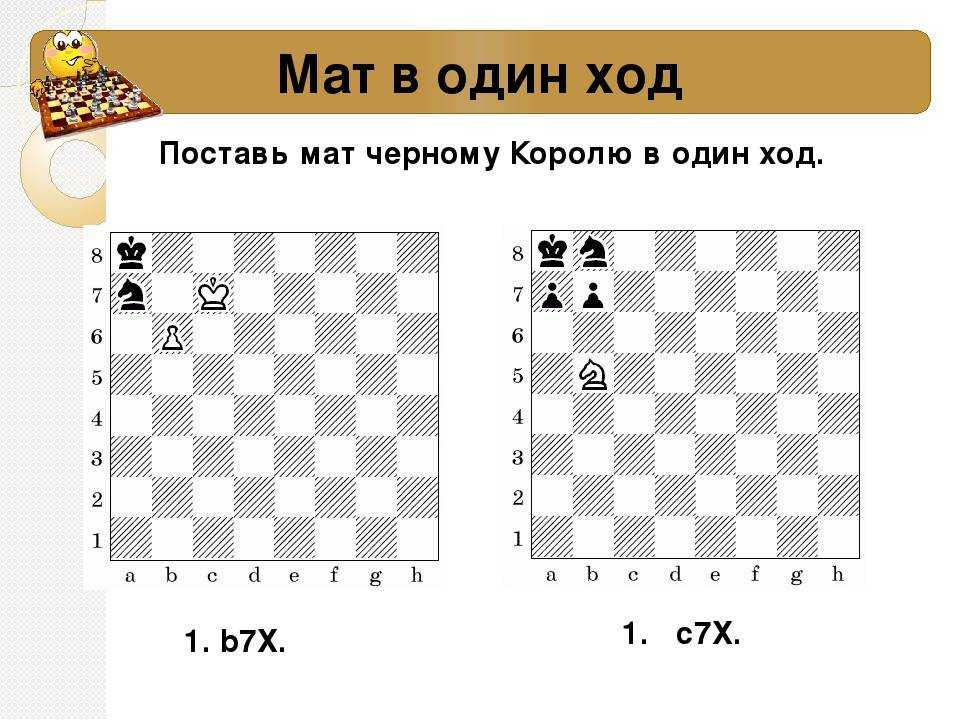 Шахматные задачи — играть онлайн бесплатно