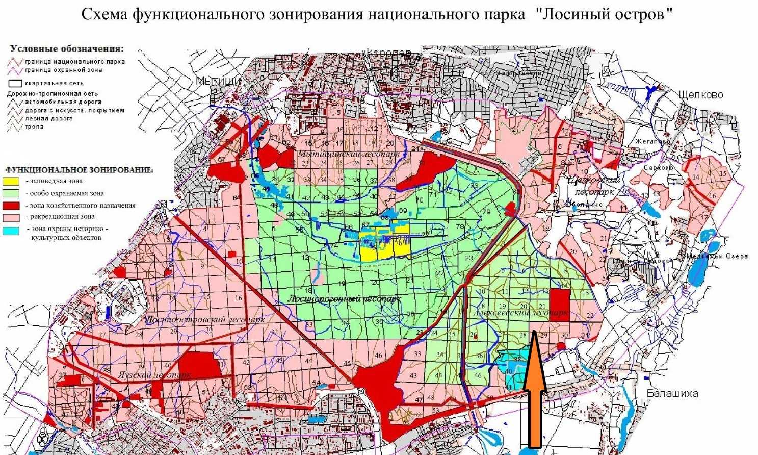 Сицилианская защита