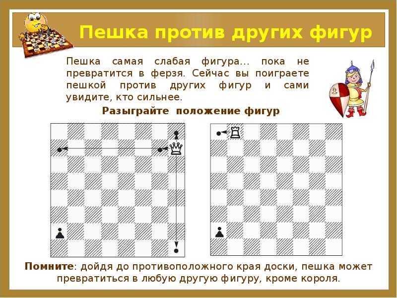 Слон против слона с пешками в разноцвете