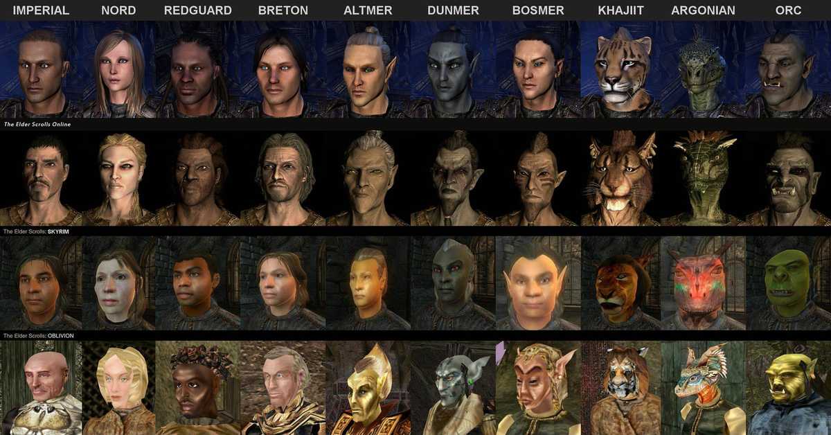 Сколько квестов было в skyrim, oblivion, morrowind и daggerfall? ответ внутри. | the elder scrolls story | дзен