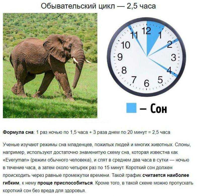Пат что это такое в шахматах