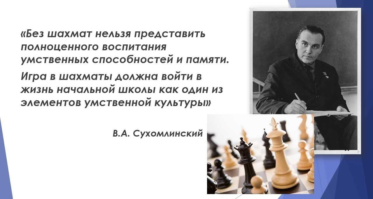 Польза и вред шахмат для детей и взрослых: что они развивают
