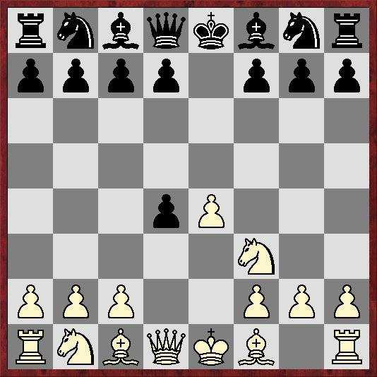 Словарь шахматных терминов | шахматы для всех