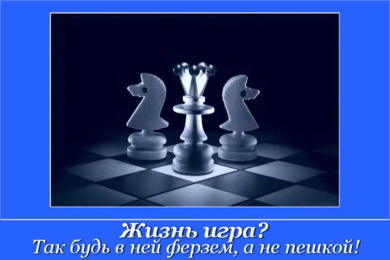 Правила игры в шахматы: кратко, инструкция для начинающих, как правильно играть в шахматы
