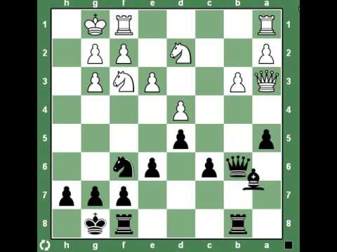 Шесть лучших ответов черных на 1.d4 в шахматах