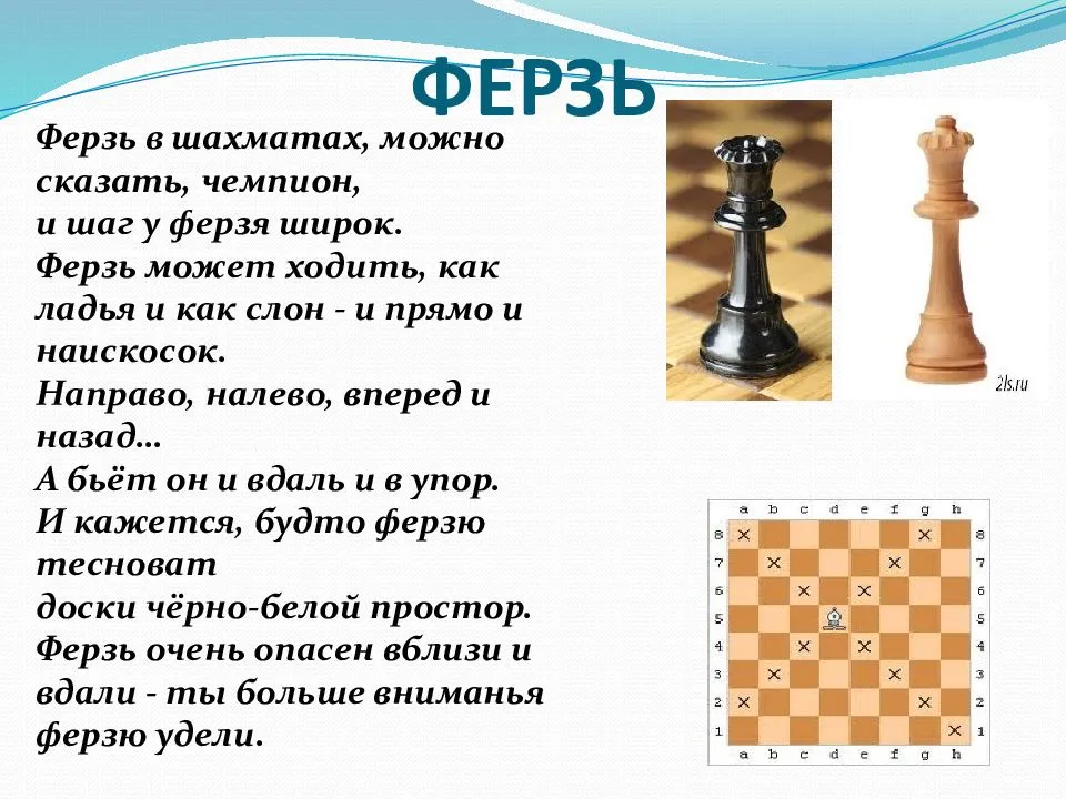 Коллекция шахматных фигур: искусство разума и стратегии.