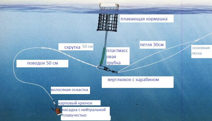 Как начинающему шахматисту научиться правильно играть в шахматы