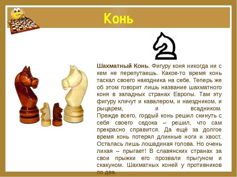 Шахматы правила кратко. как ходит ферзь и король в шахматах