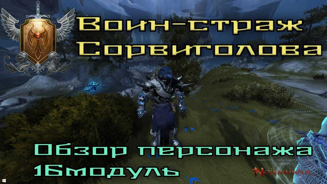 Классы neverwinter online - как выбрать и не ошибиться