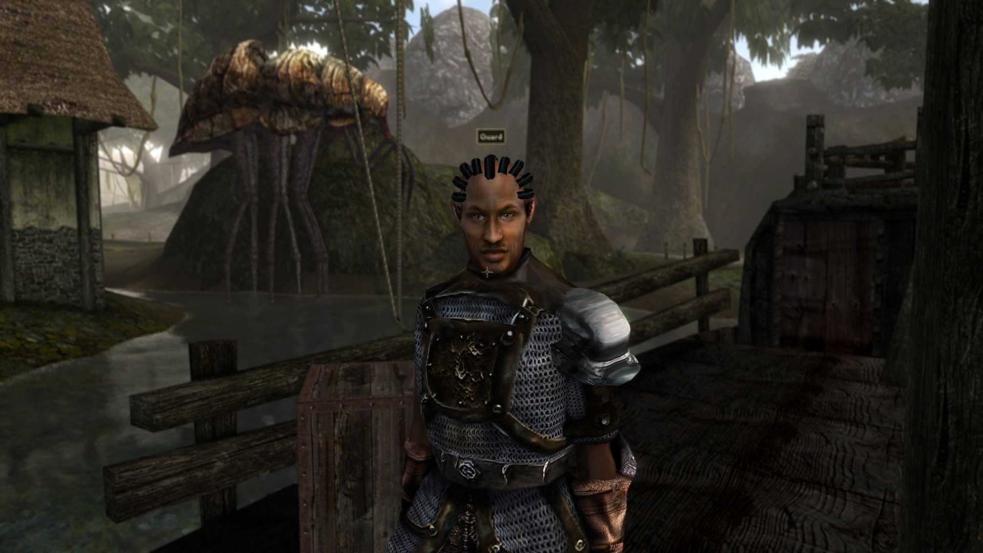 Morrowind steam repack фото 24