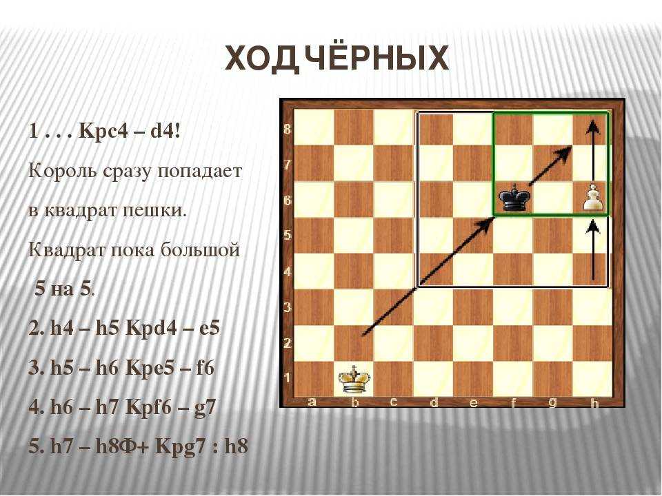 Второй уровень - шахматы - русская школа
