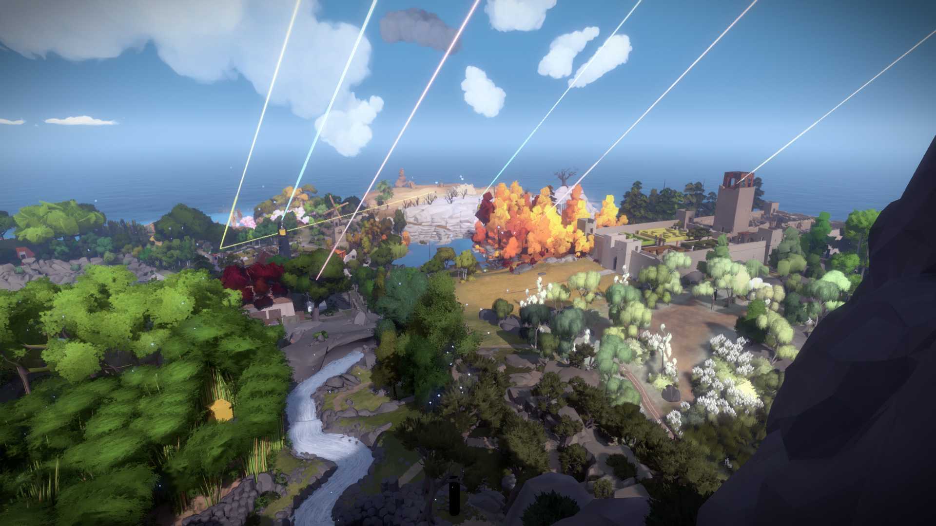 The witness