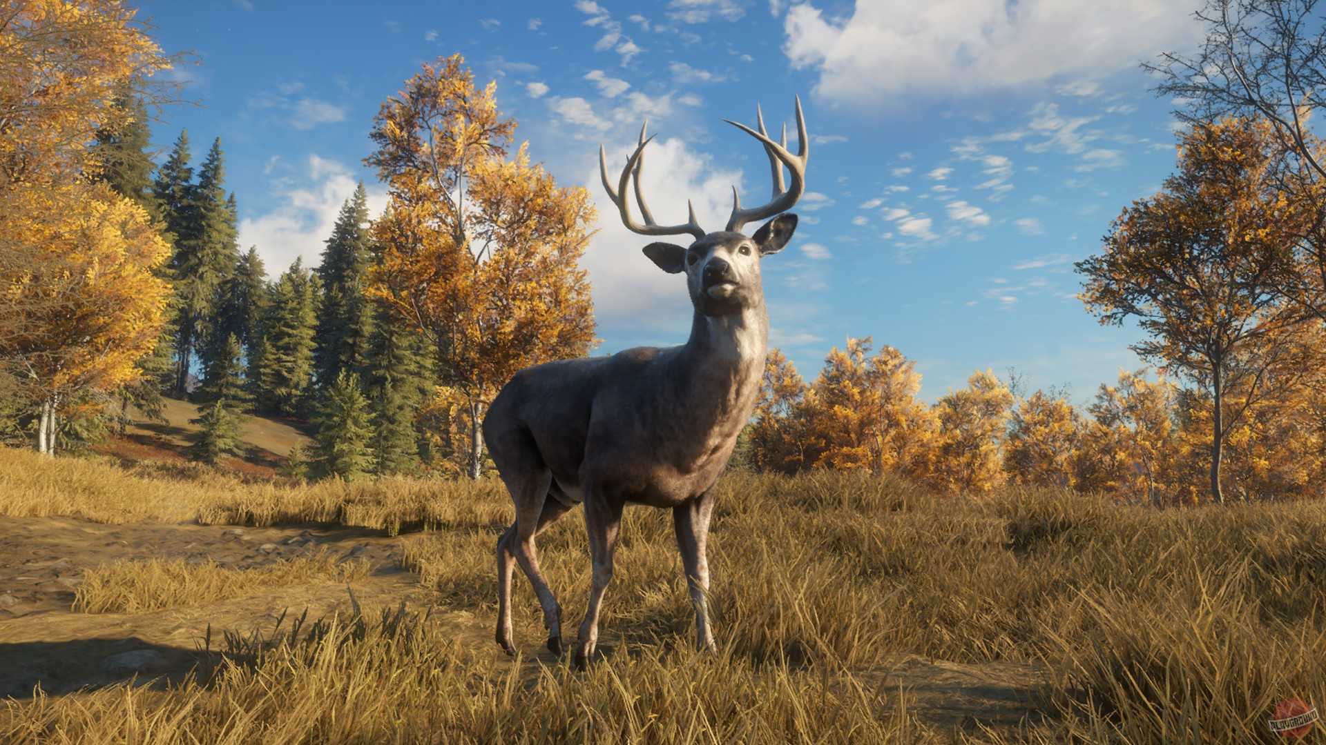 Thehunter call of the wild скачать торрент