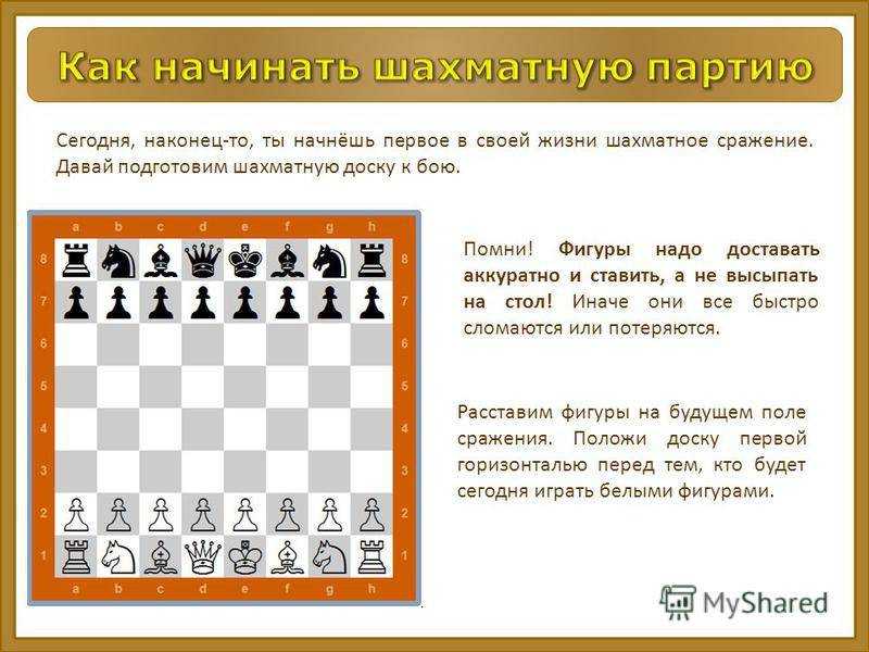 Подготовить в формате ms word план вводного занятия по шахматам