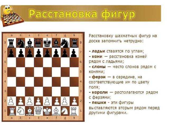 Шахматные фигуры, наименование, количество, как стоят и ходят
