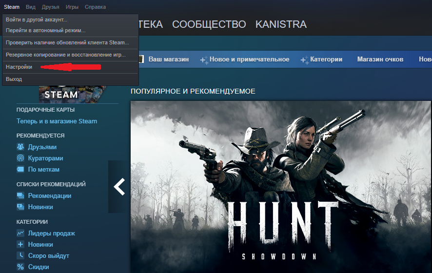 Как использовать steam remote play для потоковой передачи локальных многопользовательских игр в любом месте - zanz