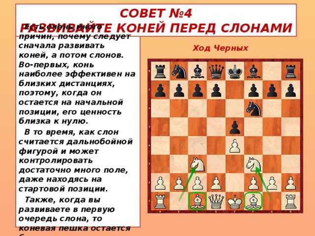 10 лучших книг для обучения шахматам, которые помогут научиться качественно играть - все курсы онлайн