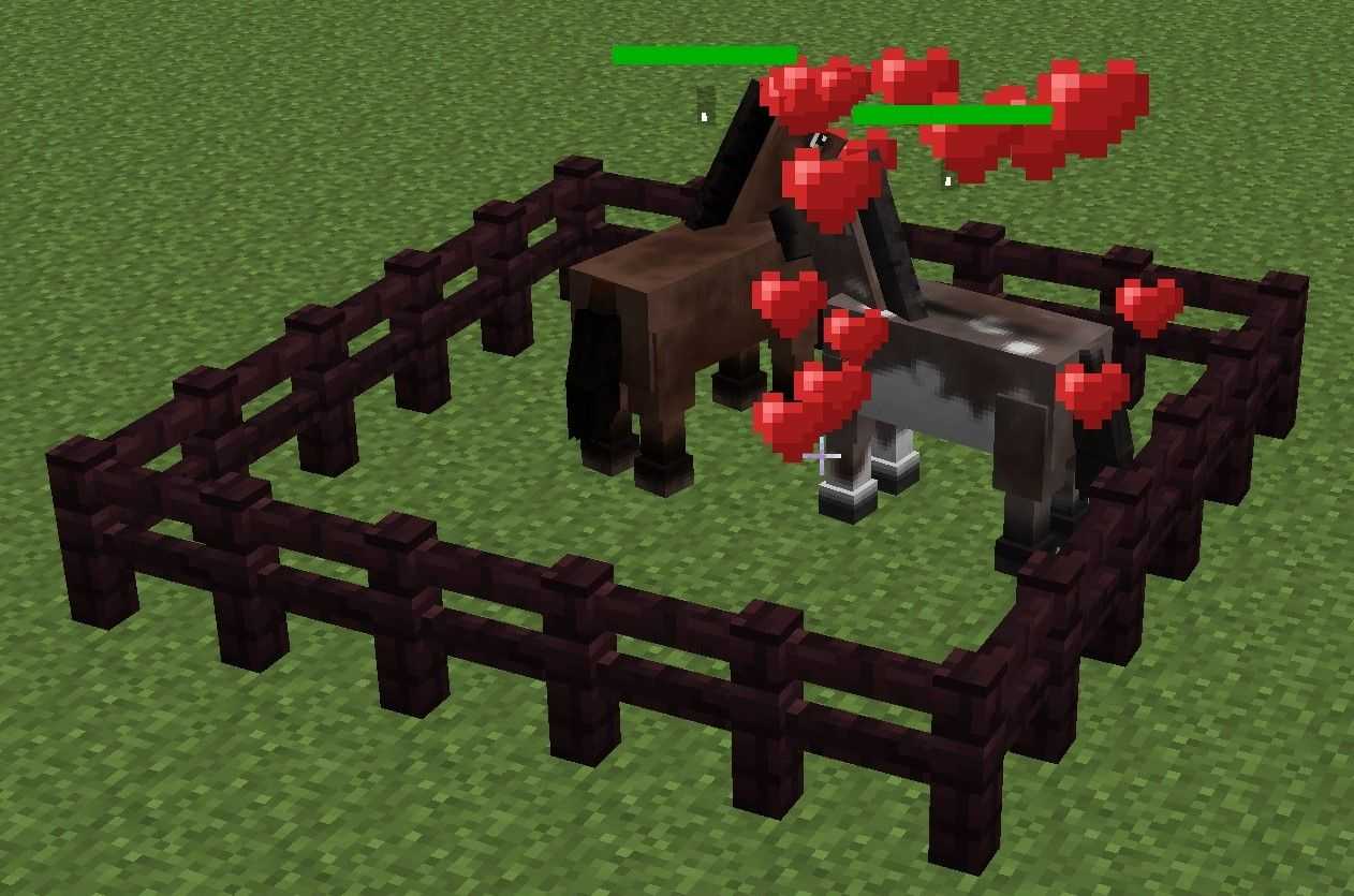 Minecraft. как приручить лошадь | оз