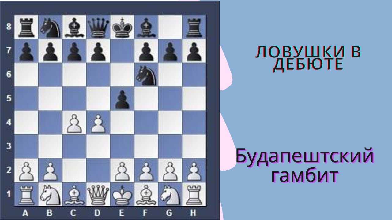 Дебют слона в шахматах: ловушки за белых в гамбите урусова (видео)