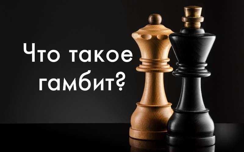   сицилианский гамбит - med24info.com