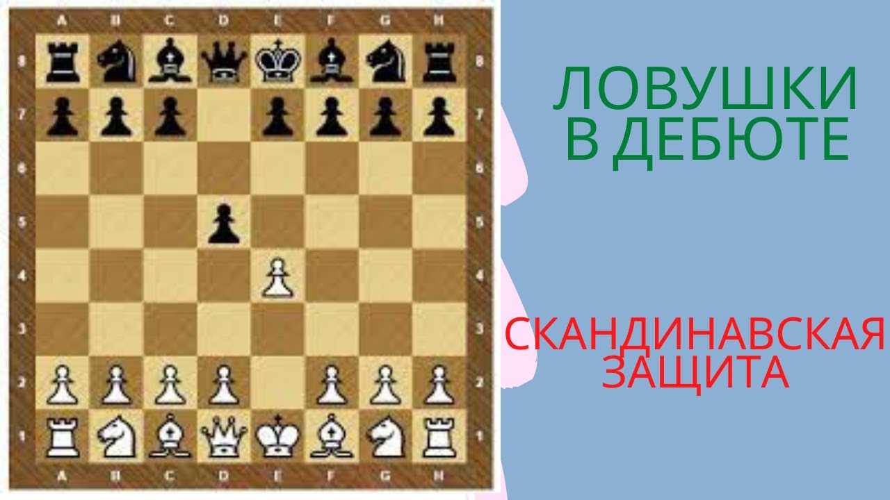 Дебют нимцовича - разбираем подробно варианты