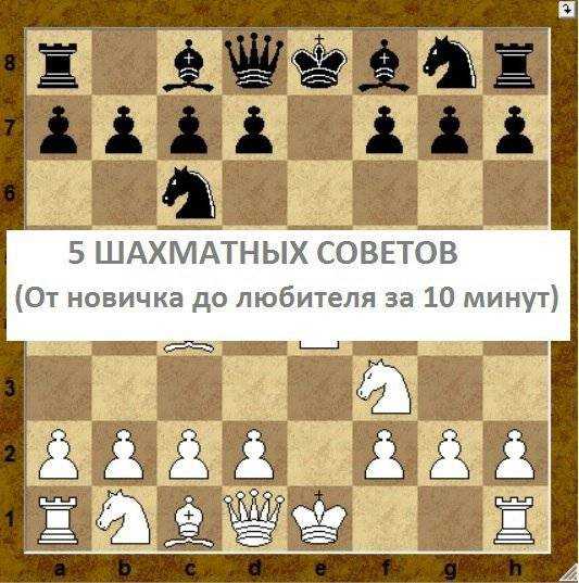 Шахматы для начинающих. Распорядок фигур в шахматах. Шахматы для новичков. Игра в шахматы для начинающих. Шпаргалка шахматы.
