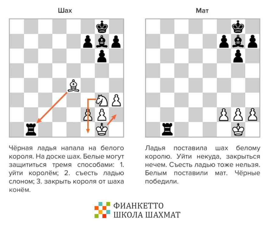 Самые лучшие шахматные ловушки в дебюте за белых, черных