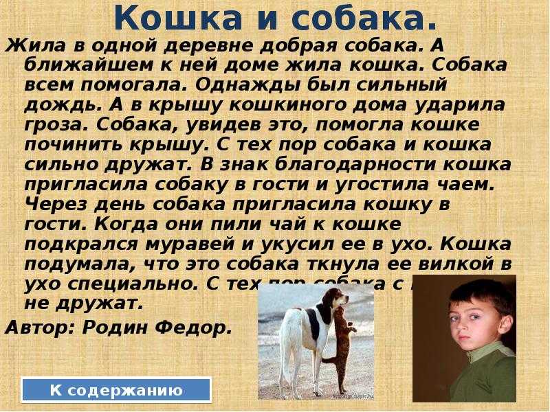 Почему мы читаем сказки. почему мы любим сказки? стоит ли учить детей самим придумывать сказки