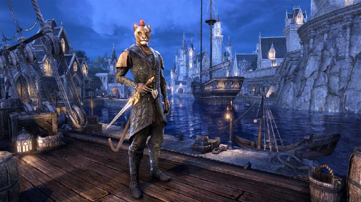 The elder scrolls online – обзор игры, системные требования, отзывы, дата выхода игры