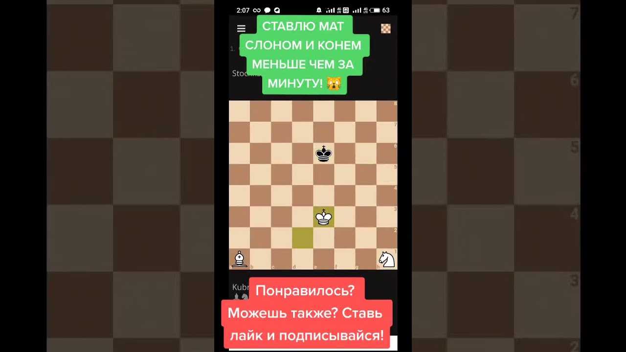 Глава 29 конь, пешка и король дают мат в один ход. шахматы для самых маленьких