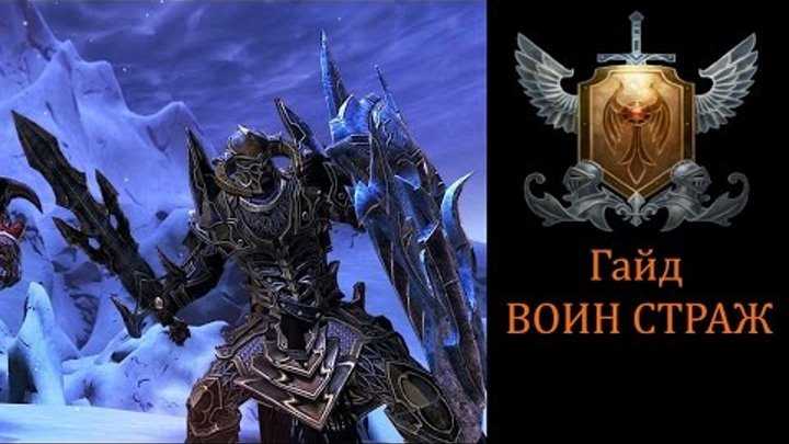 Страж мастер. Воин Страж невервинтер. Neverwinter online Страж. Neverwinter online воин Страж гайд 2022. Невервинтер Свардборг.