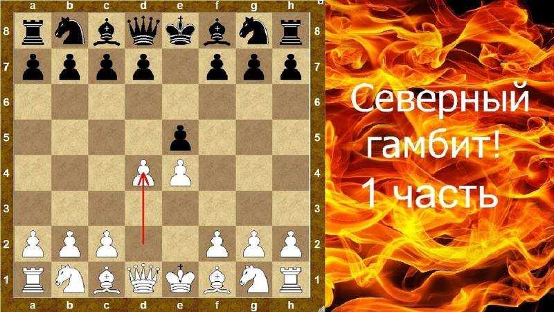 Королевский гамбит черными. Дебют ферзевый гамбит. Шахматный дебют ферзевый гамбит. Дебют Королевский гамбит за белых. Северный гамбит шахматы.
