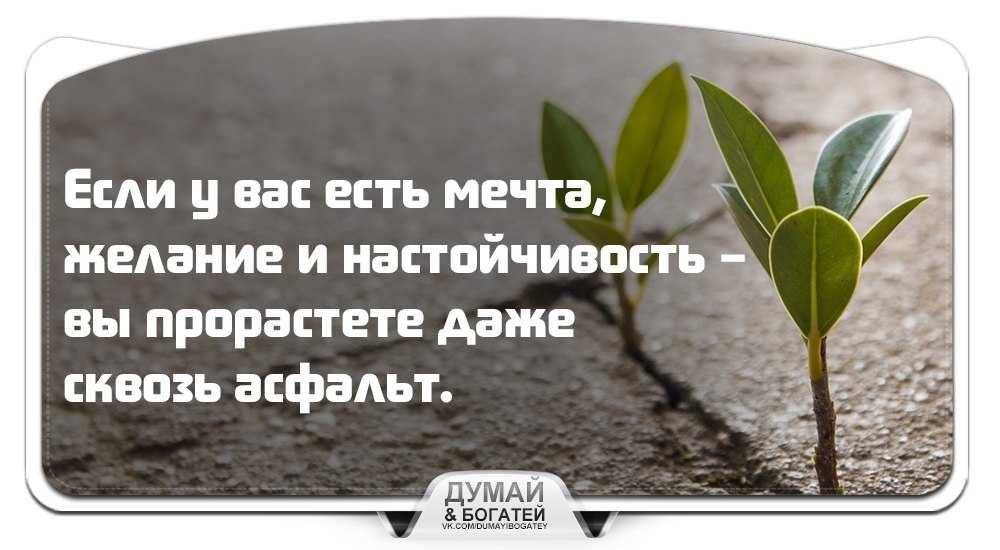 Цзюй вэньцзюнь