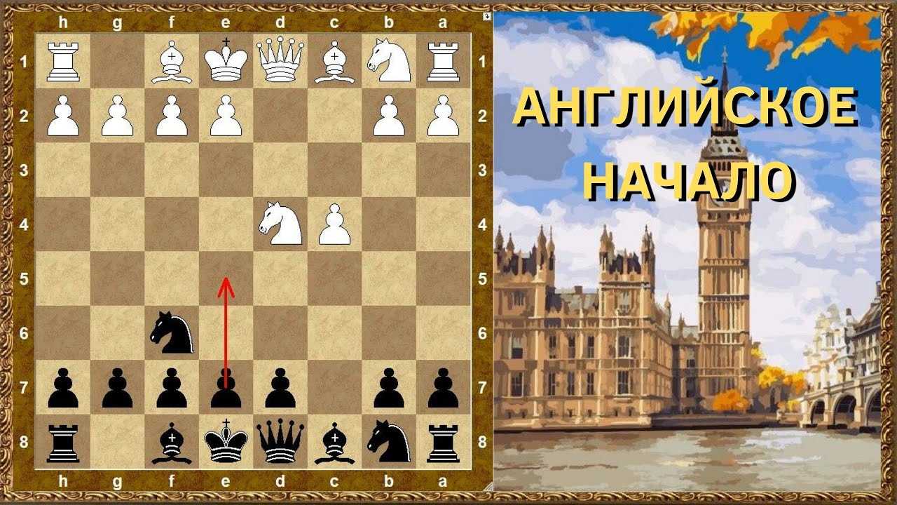 Защита бенони в шахматах: описание, особенности применения