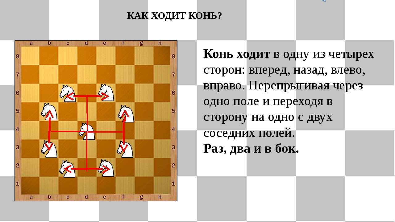 Лучшие книги по шахматам для опытных и начинающих | lindeal.