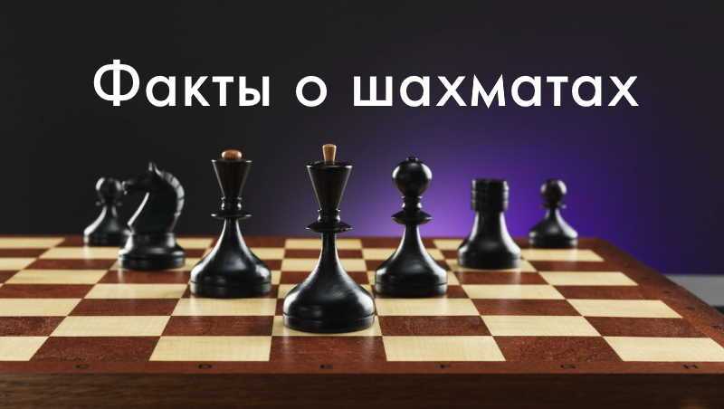 Словарь шахматных терминов | шахматы для всех