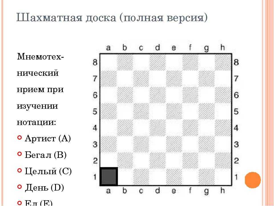 Мат в шахматах для начинающих